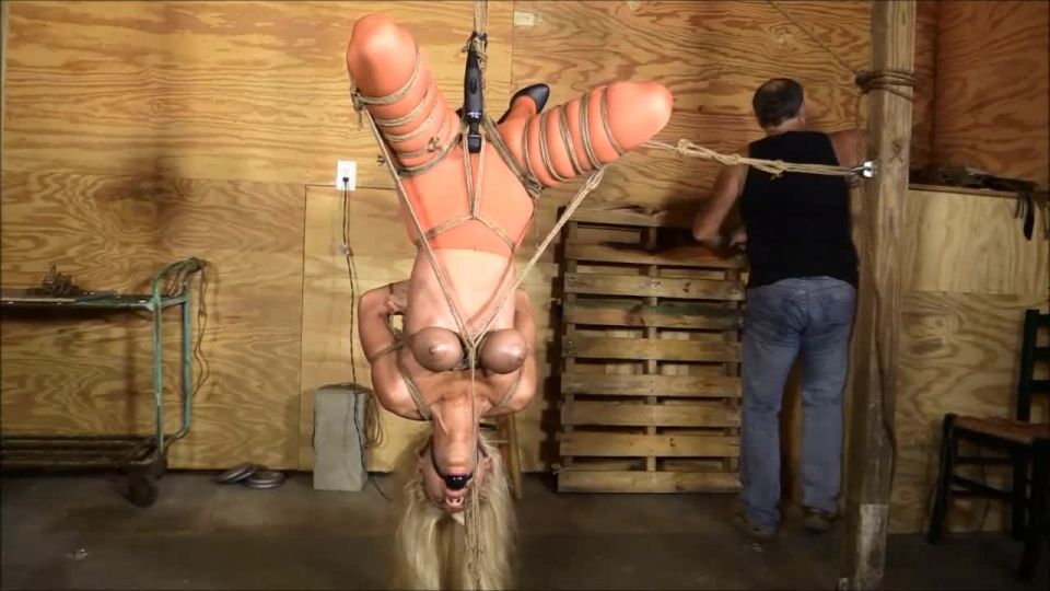 Frogtied Hung And made Download Porn Videos in Good Qual...