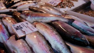 Sex Diaries in Venice: LunaxJames and Couple's Steamy Advent-2