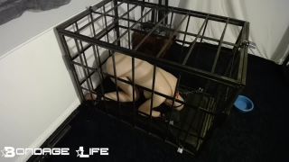 xxx video clip 14 porno rough bdsm femdom porn | Bondage Life – Cage Time With Greyhound (Owner Edition) | fetish-7
