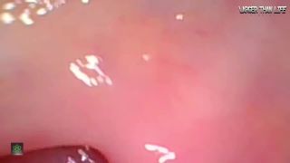 LTLGiantessClips - PennyPlace in Wifes Giantess Vore Fantasy SFX - Shrinkingfetish-8