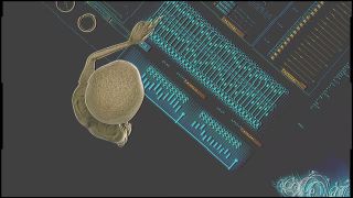 online porn video 11 xxxCaligulaxxx – Alien - aliens & monsters - femdom porn shiny fetish-2