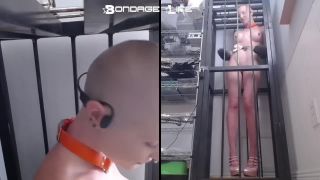 porn clip 24 rikki six femdom Bondage Life – Cage Time With Greyhound (Closeup Edition), rachel greyhound on bdsm porn-7