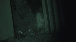 Unleash Your Desires: Wild Erotic Adventures Await Tonight-7