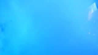 Voyeur Performance 45 - 151  - voyeur - voyeur -3