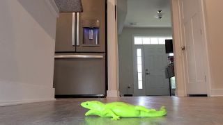 Crushing Lizards ﻿Lisa Asmr (Femdom porn)-3