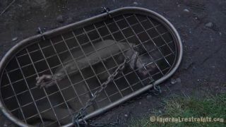 PSYCHOTHRILLERSFILMS - Ashley LaneInfernal Restraints - 2012IR - Aug 24, 2012 - Maggie Mead-1