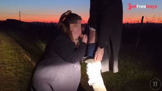 [GetFreeDays.com] Blown off at sunset in the vineyard Porn Film October 2022-0