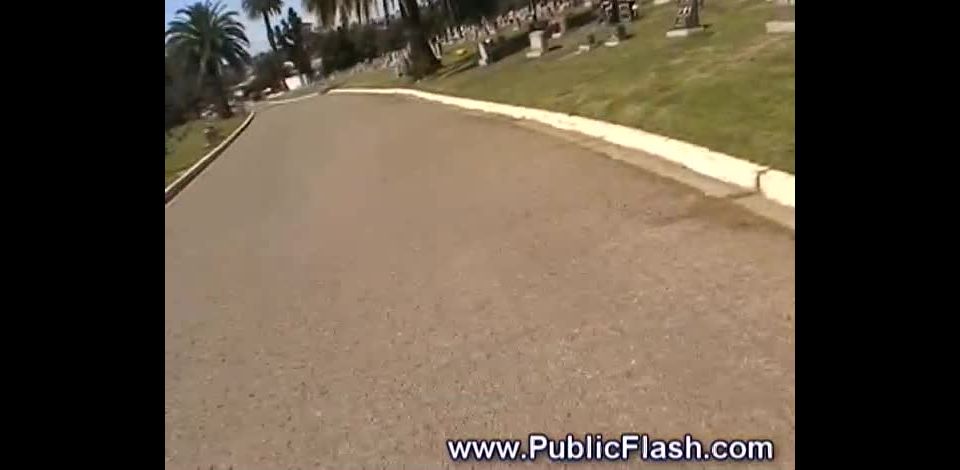 PublicFlash savannatwo (mp4)