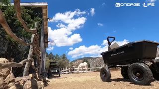 online porn clip 34 BondageLife – Lets Move Some Rocks Rachel Greyhound - bondage - bdsm porn kj fetish-7