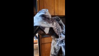 mdollbot 2025-10-01 Ok but back to me just wanting to chill out with ya in hon   5vyfpp-0