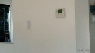 Reena Sky, Chanel Preston Celebrity Scandal (Fetish porn)-1