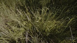 A Wild Cat Caught Me In A Field, Fucked Me And Drank All Sperm 1080p-0