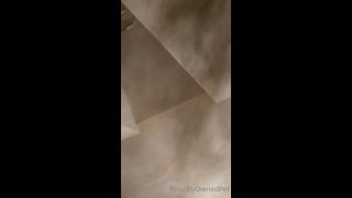 PSYCHOTHRILLERSFILMS - Ashley Laneproudlyownedpet-08-08-2021 (2)-0