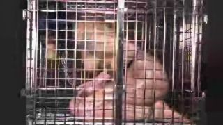 2001.07.25 - Betty's Test (Betty) Sex Clip Video Porn Do...-9