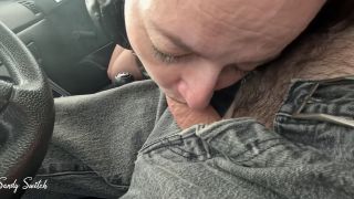 Paul Kovacs,Sandy Switch - Pretty hitchhiker seduces driver and gives blowjob at 93 mph-6