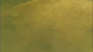 free porn video 5 Exotic Illusions #2 | small | brunette girls porn lesbian fetish-3