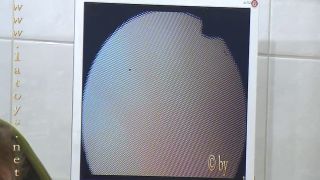 Anal slut part II.-4