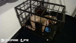 free video 46 BondageLife – Cage Time With Greyhound (Owner Edition) - rachel greyhound - bdsm porn kelly divine bdsm-4