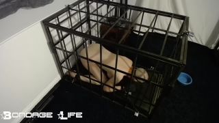 free video 46 BondageLife – Cage Time With Greyhound (Owner Edition) - rachel greyhound - bdsm porn kelly divine bdsm-9