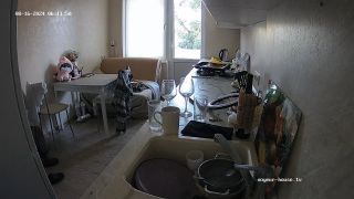 Tatiana And Friend Sex, 15 08 2024 Cam2 Pt2 720P - Amateur-1
