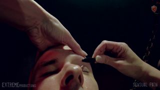 online clip 41 queensnake bdsm SensualPain – Jan 3, 2021: Brows Shaved for Master | slave Butters, debris on fetish porn-1