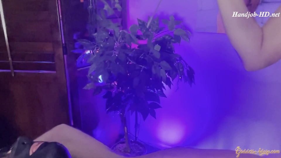 adult clip 24 Obedient Little Bottom Feeder 2 – Adara Jordin – HandJob | foot | feet porn foot fetish and sex