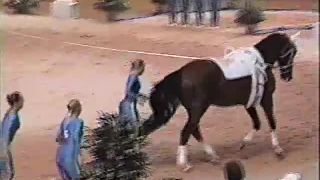 [SiteRip] BodySheen volti06-3