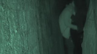 Nightly Passion: Unleash Your Sensual TouchesTonight-3
