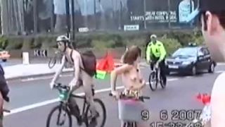 Coccozella-SiteRIP 0115-lg-wnbr-2007-4-2