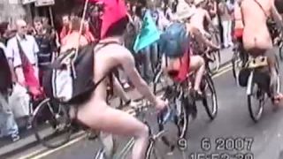 Coccozella-SiteRIP 0115-lg-wnbr-2007-4-6