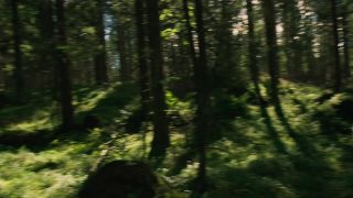 Viktoria Winge, Veslemoy Morkrid, Julia Schacht - All Must Die (Utdrikningslaget) (2019) HD 1080p!!!-5