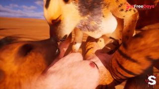 [GetFreeDays.com] Group of sexy furries pack fuck a lucky guy to make him cum in Wild Life sex Porn Video November 2022-5