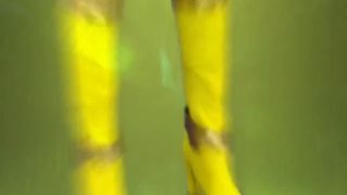 [WarAnLov.com] SPSB-98 Be-My-Shadow VS Phantoma Yellow-015-1