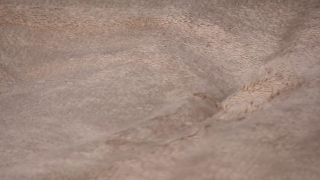 Webcam SapphireAlice 11: Intimate Live Shows & Chat Moments-8