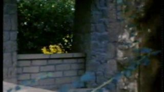 online adult clip 19 Das Sex-Taxi - classic & vintage hardcore - vintage circumcision fetish-3