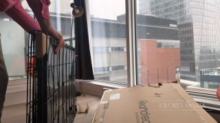 LGM H265_Introducing The Slave To It's Cage -1