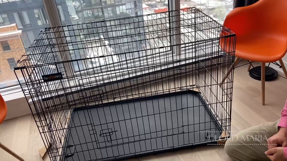 LGM H265_Introducing The Slave To It's Cage 