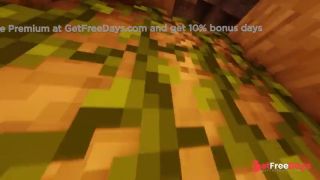 [GetFreeDays.com] Minecraft Parkour  Sex Clip March 2023-7