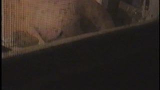 xxx video 18 flyscreen voyeur video - hidden camera - webcam -4