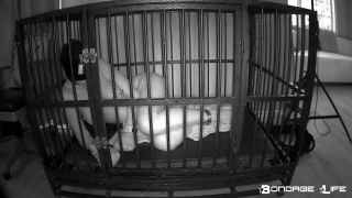 Cate Time With Greyhound (IR Edition) - 02.09.22 Video S...-3