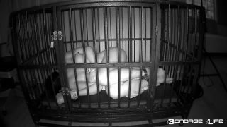 Cate Time With Greyhound (IR Edition) - 02.09.22 Video S...-8