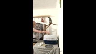 PSYCHOTHRILLERSFILMS - Ashley Laneproudlyownedpet-19-11-2021-3