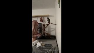 PSYCHOTHRILLERSFILMS - Ashley Laneproudlyownedpet-19-11-2021-5