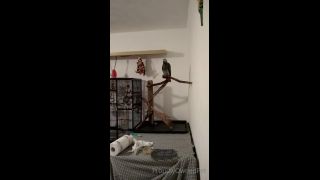 PSYCHOTHRILLERSFILMS - Ashley Laneproudlyownedpet-19-11-2021-6