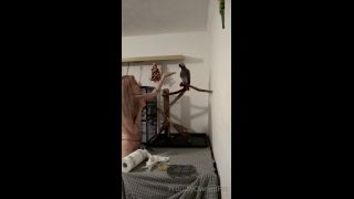 PSYCHOTHRILLERSFILMS - Ashley Laneproudlyownedpet-19-11-2021-7