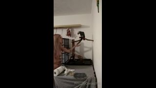 PSYCHOTHRILLERSFILMS - Ashley Laneproudlyownedpet-19-11-2021-8