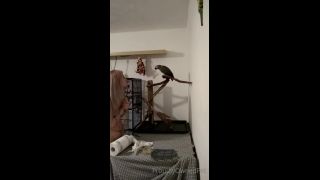 PSYCHOTHRILLERSFILMS - Ashley Laneproudlyownedpet-19-11-2021-9