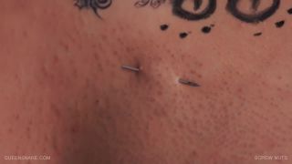 Screw Nuts Queensnake Studio Quick View Porn - New Sex V...-1