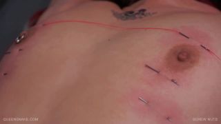 Screw Nuts Queensnake Studio Quick View Porn - New Sex V...-2
