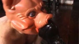 CATTLE-PROD SHOCK FARM!.-7